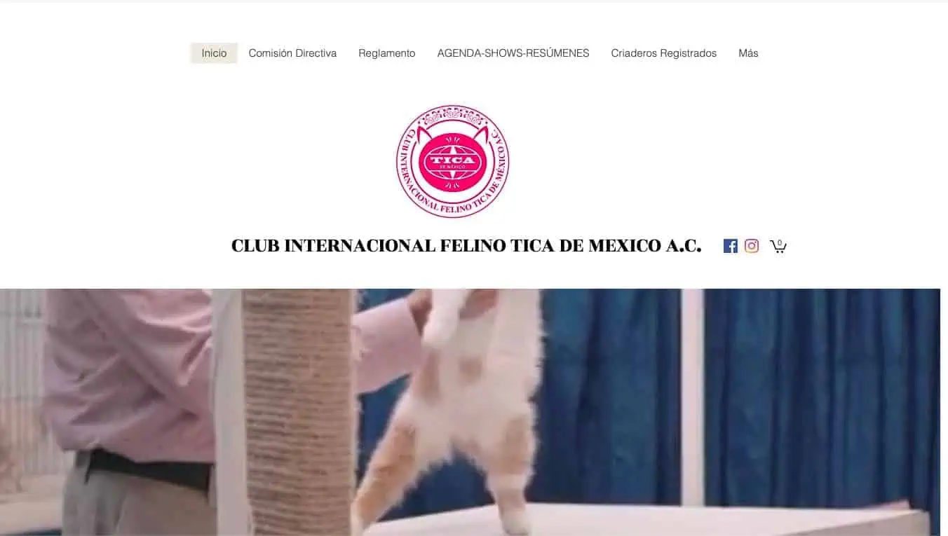 Tica MX – Antes